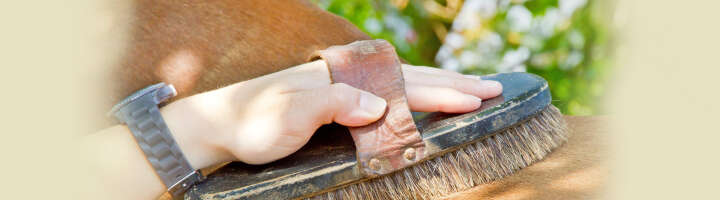 wurzelbuerste kategorieeinstiegsbanner